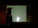 Screen Multitouch