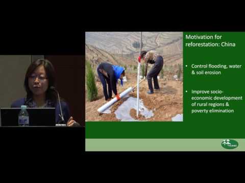 Zhang Kun - IUFRO 2016