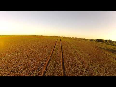 RIPcombat - They dont seem to mind me flying over them. How many do you count.