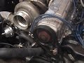 mustang svo mustang svo