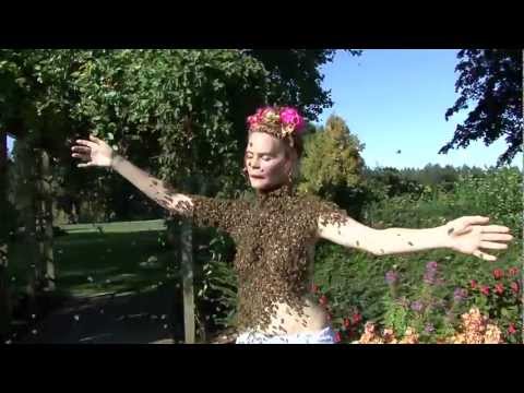 Dancer - saramapellibeequeen.com In this video I am dancing with 12000 honey bees. This is my second bee dance and I am planing a third. I think of this dance as a d...