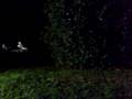videos de Night Flight - By Flood Light!