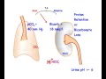 Metabolic acidosis