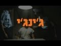 תוקי - ג'ינג'י