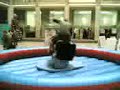 SGH 2006 Pro Bull Riding Championships
