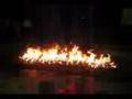 videos de fire walk seminar at 