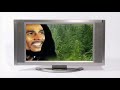 BOB MARLEY-CAUTION