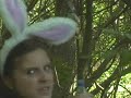 intro to video