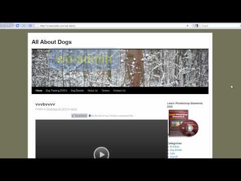 how to login to wordpress blog