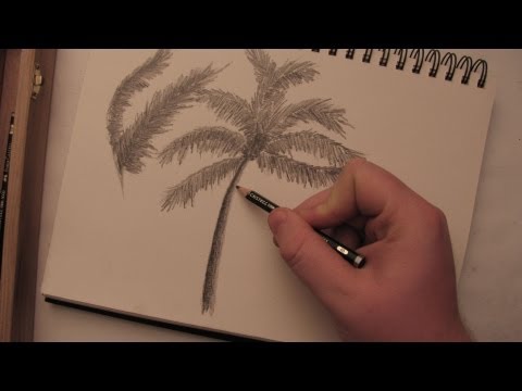how to draw palm trees