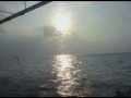 hammock sleepcatcher adventure
