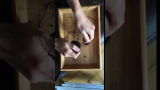 How to enjoy Tangerine High Mountain Oolong tea from Alishan