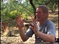 escape-from-suburbia-beyond-the-american-dream-trailer.html