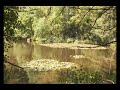 Stille Seen im Pf�lzer Wald