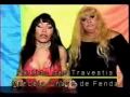 Marcela chave de Fenda - Partido das travestis !!