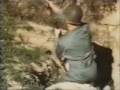 Armalite AR-10 Promo Movie, pt. 2