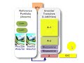Subordination in structured finance