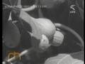 LO SPERONE D'ITALIA - girato nel Gargano nel 1943