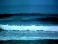 THC　SURF