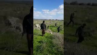 مغلس قرب تل الصافي والبريج