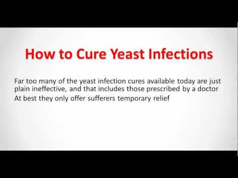 how to cure systemic yeast infection