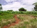 Construção Ervilhas Bike Park Parte 03