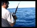 Jigging master israel 10/1008