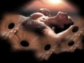 Boris Novkovic °°TAMARA°°