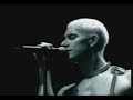 311   beautiful disaster