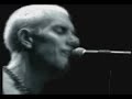 311   beautiful disaster