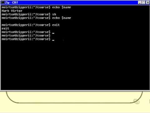 how to environment variable in linux