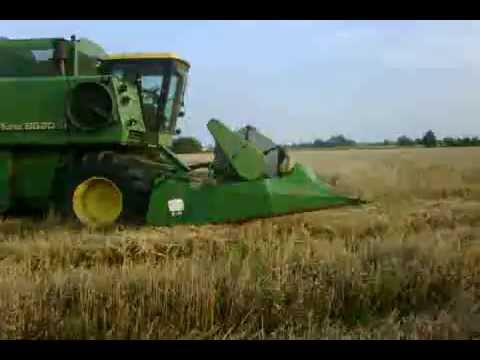 how to harvest rye grain