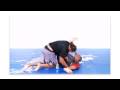 MMA Ultimate Set: Excerpt from Nogueira vs Nogueira Sparring Session
