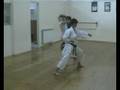 KARATE CALTANISSETTA HEIAN SANDAN BUNKAI PARTE (15)
