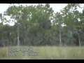 Do you Believe? 4. - (Cryptozoology, & hidden truth's unveiled)