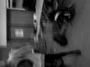 merle danser