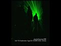 VOOV-EXPERIENCE XV - GOA & PSY TRANCE FESTIVAL - #09