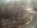 videos de grizedale stages08