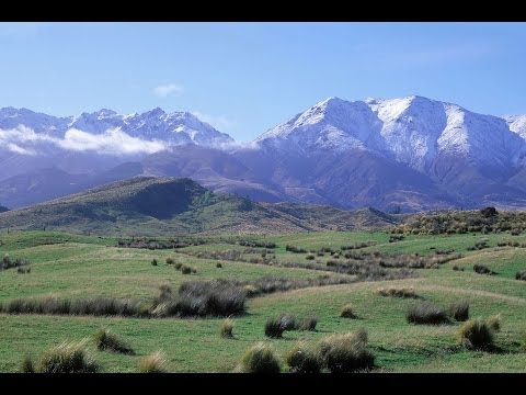 how to become a qualified painter nz