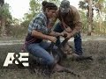 Lady Hoggers: Hog Gang(2 hours ago)
