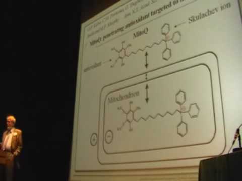 SENS4 – Mitochondria-Targeted Plastoquinone Derivatives as Antisenescence Drugs (1/3)