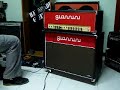 teste giannini + 2x12 novik + distorções