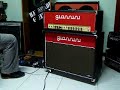 teste giannini + 2x12 novik + distorções