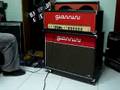 teste giannini + 2x12 novik + distorções