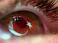 Ottoman Style Yelkenler Bi�ilecek Mehter
