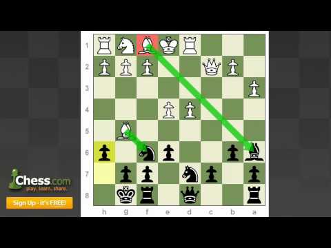chess games