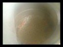 Video screenshot