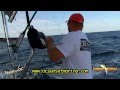 Sunset Marina - "The Daily Catch 12" August 2011