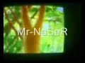 شاذي(قرد) فاضي قام وتحرش بنمور اثنين لوول
