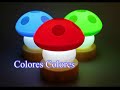 Colores Colores- Bacilos